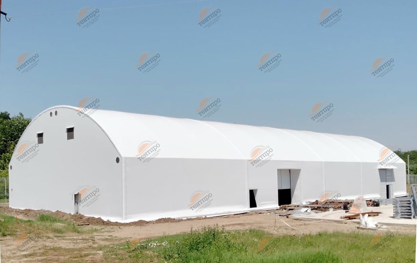 В17х47 Кропоткин в Москве 